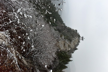 雪后云门山