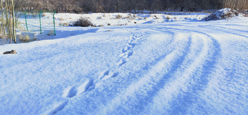 雪