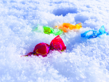 雪地里的糖果