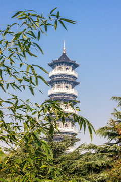 昌邑绿博园的塔