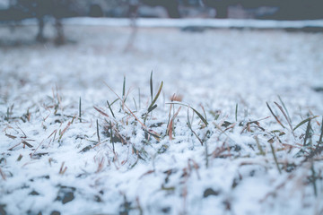 高清雪景