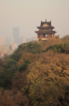 黄鹤楼公园山色