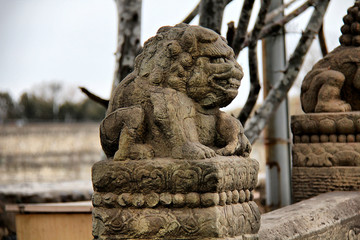 卢沟桥的狮子