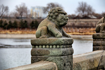 卢沟桥的狮子