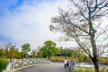 公园秋景