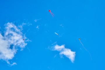 蓝天白云下的风筝