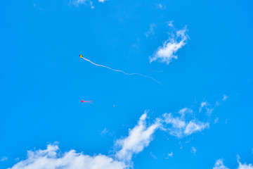 蓝天白云下的风筝