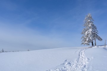 中国雪乡