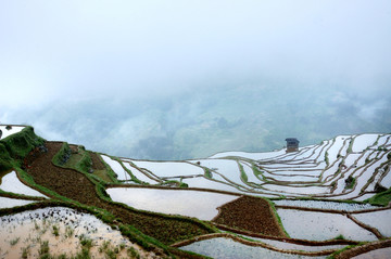 贵州加榜梯田