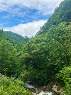 山中溪流