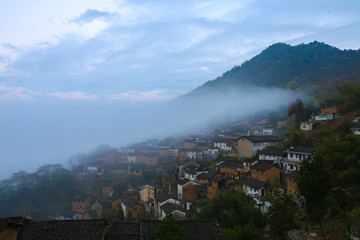 山村阳产