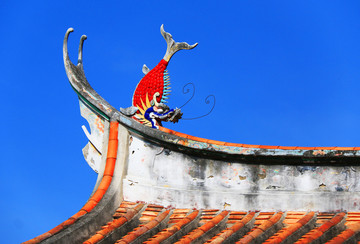 燕尾脊