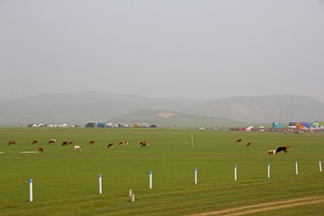 锡林郭勒草原