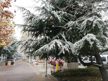 雪景