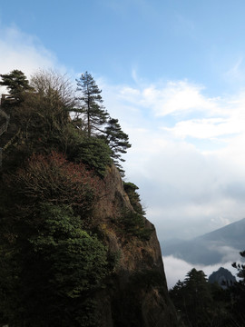 高山流云