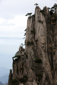 高山黄山