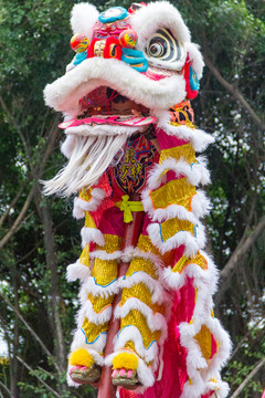 中国习俗舞狮狮子爬高杆