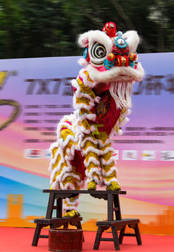 中国习俗舞狮狮子上板凳