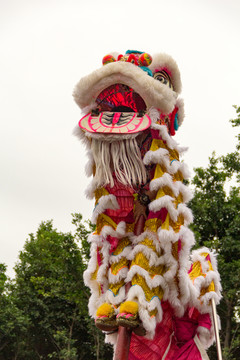 中国习俗舞狮