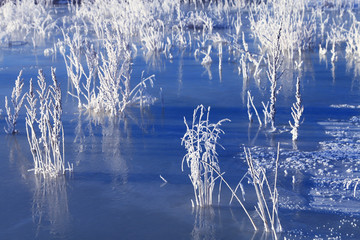 冰封河流野草冰霜