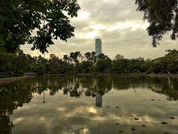 深圳洪湖公园风景