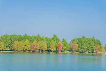 辰山植物园素材