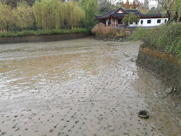 公园河道整指水草种植