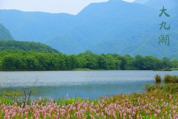 神农架大九湖