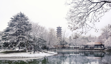 雪中解放公园