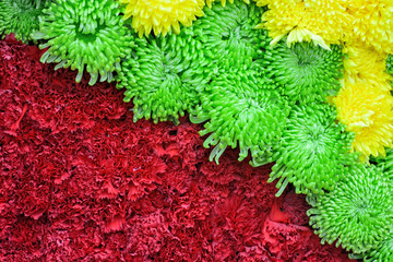 红绿鲜花背景墙