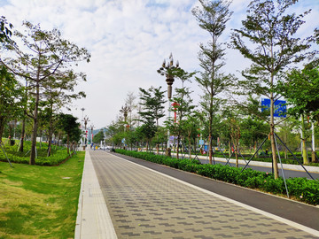 石板小路