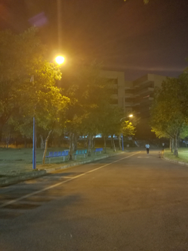 夜景