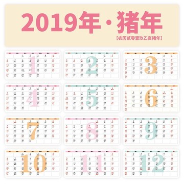 2019猪年