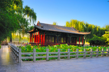 大明湖风光