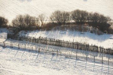 雪地树林