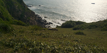 大海