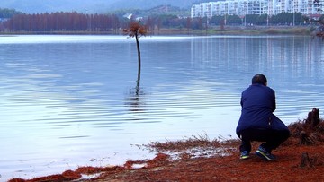 红杉林生态湿地