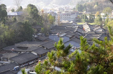 透过松林的青木川