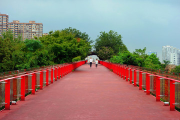青枫公园玻璃桥