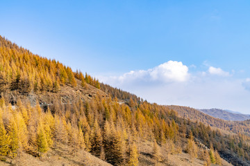 秋季的山脉与森林