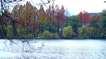 烟雨西湖秋景