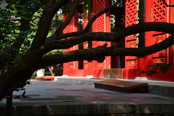 北京法源寺