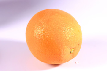 一只脐橙