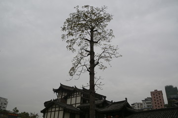 甘坑客家小镇风景