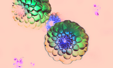 花纹