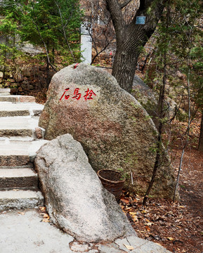 千山无量观拴马石