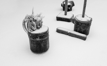 雪
