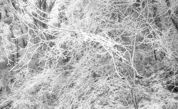 雪