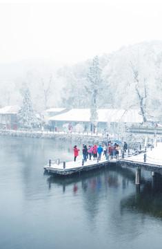 赏雪