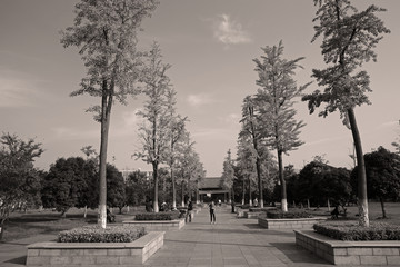 老南京黑白风景照片